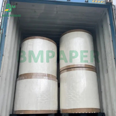 190gm + 15g PE P1S Papel de taza Brillo para cafetería Impermeable 720mm 880mm