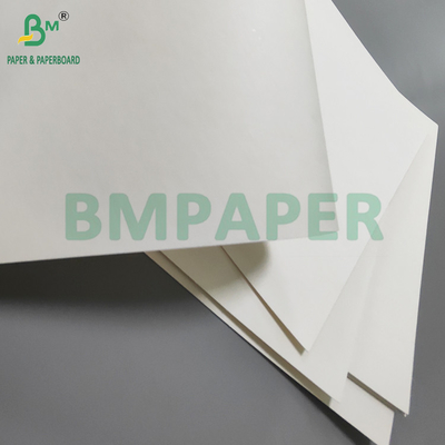 190gm + 15g PE P1S Papel de taza Brillo para cafetería Impermeable 720mm 880mm