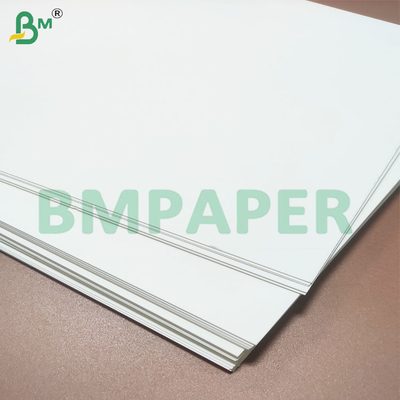 Papel para vasos y cuencos, impermeable, resistente al calor y recubierto