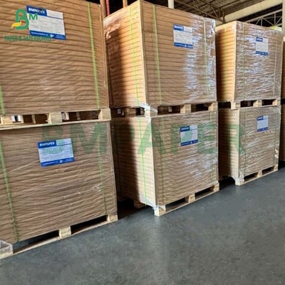 Papel natural de filtro de café marrón sin blanquear biodegradable a altas temperaturas
