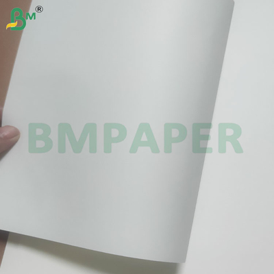 60/120 GSM Rollo de papel de paja para beber con colores personalizados