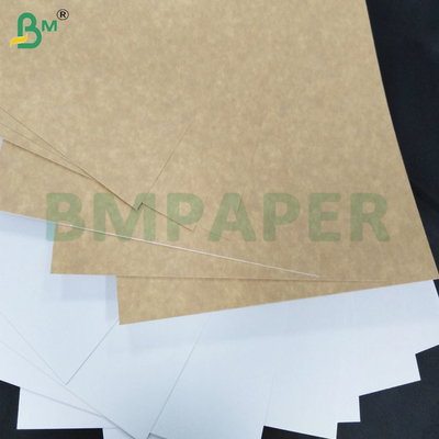 200-360 GSM Hoja de papel Kraft recubrido de un lado resistente a la congelación