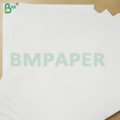 200-360 GSM Hoja de papel Kraft recubrido de un lado resistente a la congelación