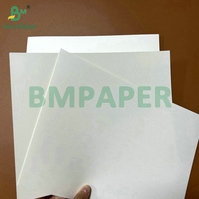 Calidad alimenticia 250 gramos 737 mm Cupstock impermeable 1 papel PE para tazas