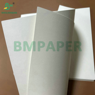 Calidad alimenticia 250 gramos 737 mm Cupstock impermeable 1 papel PE para tazas
