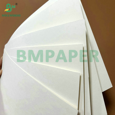 Calidad alimenticia 250 gramos 737 mm Cupstock impermeable 1 papel PE para tazas