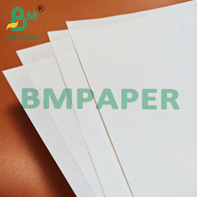 70 x 100 cm Kit7 Papel a prueba de grasa Materia prima para el embalaje de comida rápida