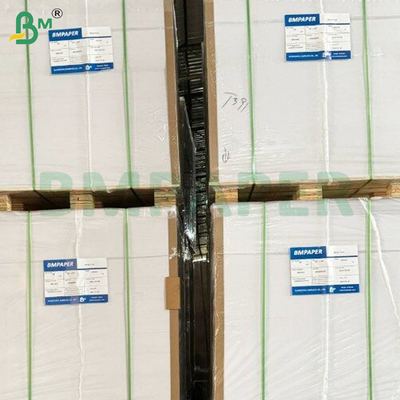 Grado alimenticio PE revestido de hojas de papel resistentes al calor y a las fugas