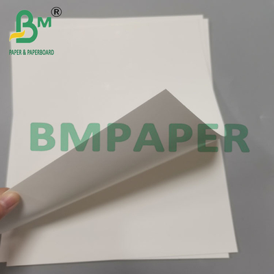 210 g 70x100 cm C1S cartón blanco revestido de marfil para cajas cosméticas