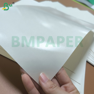 Materia prima de papel de taza con revestimiento en PE excelente resistente al agua