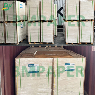 Materia prima de papel de taza con revestimiento en PE excelente resistente al agua
