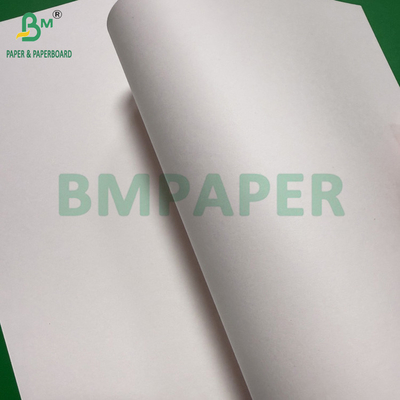 240g + 18g PE Revestido de Taza de Papel Mat Finish Uno de los lados Custom Roll ancho 430mm - 2100mm