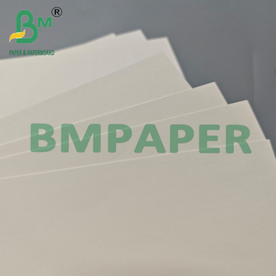 210gm Impresible PLA recubierto Kraft Cupstock papel rollo para el té