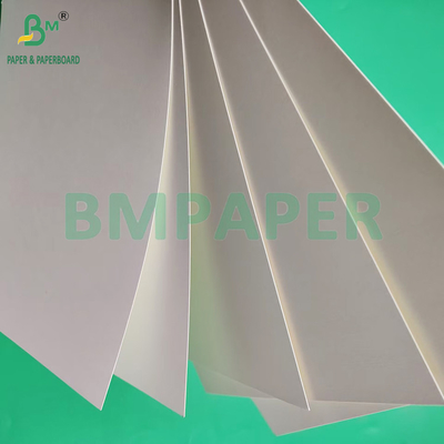 230 gm 260 gm Papel de taza con recubrimiento PE de lado único para la fabricación de papel de taza