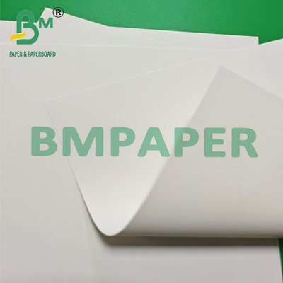 Rollo de papel sintético de PP blanco brillante e impermeable para carteles