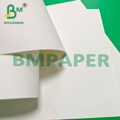 Rollo de papel sintético de PP blanco brillante e impermeable para carteles
