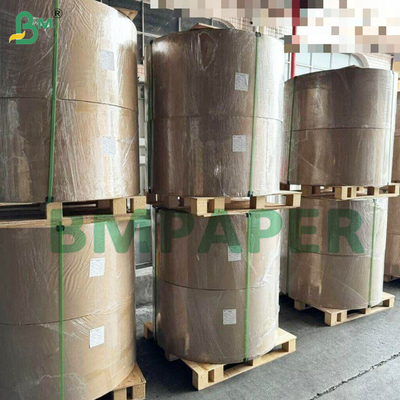 Hojas de papel de filtro de café de 50 gramos para beber café