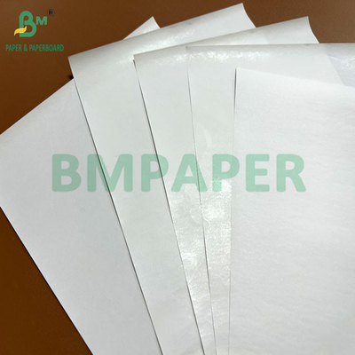 Ancho del rollo 440 mm 450 mm 48 gramos 55 gramos Papel térmico blanco para impresoras POS