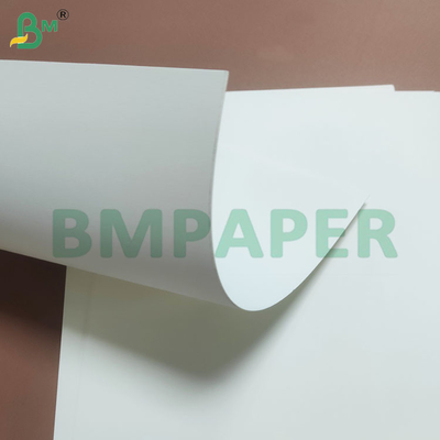 Papel blanco blanqueado de base de taza liso y reciclable en rollos de 230 gramos