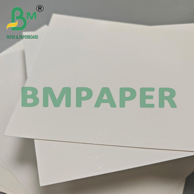 Papel biodegradable desechable resistente al frío para envases de alimentos 275 gr