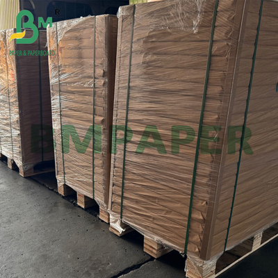 Papel biodegradable desechable resistente al frío para envases de alimentos 275 gr