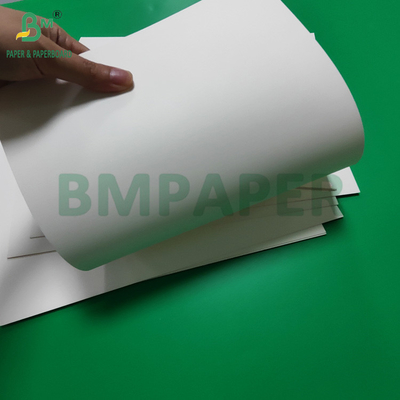 Papel blanco laminado de PET impermeable de 300 gramos para la caja de almuerzo reciclable