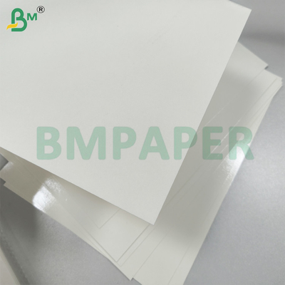 Papel de servicio de alimentos con revestimiento de PET blanco para placas de papel resistentes a la grasa