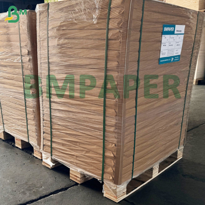 Papel de servicio de alimentos con revestimiento de PET blanco para placas de papel resistentes a la grasa