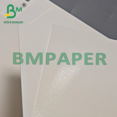 315 gramos Resistente al calor PET desechable Papel Kraft Blanco 24" x 36"