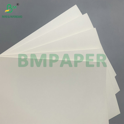 Papel de cartón para vasos de café de 210 g/m² recubierto de PE de 18 g, impermeable