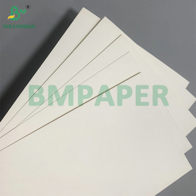 Papel de cartón para vasos de café de 210 g/m² recubierto de PE de 18 g, impermeable