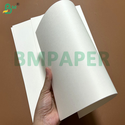 240g + 15PE Papel resistente al aceite para envases de alimentos para hacer cuencos de papel 61 x 86cm