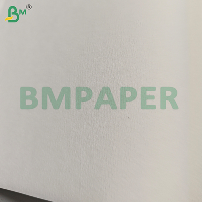 Hojas de papel filtrante de calidad alimentaria 50GSM para filtros de café y té