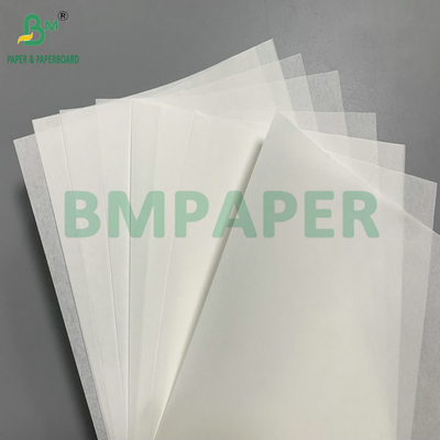 Papel antiadherente de 35 g/m² y 40 g/m² resistente al calor para forros de magdalenas