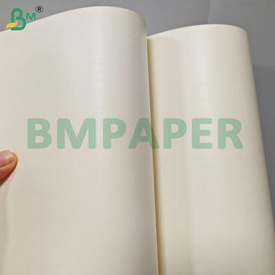 Hojas de papel para vasos a prueba de fugas con revestimiento de PE de una cara de 230+15 gsm
