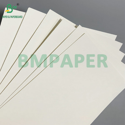 Papel para cuencos de 190 - 350 g/m² con revestimiento de PE, utilizado para cuencos de papel desechables