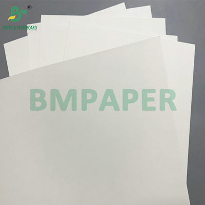 Papel para cuencos de 190 - 350 g/m² con revestimiento de PE, utilizado para cuencos de papel desechables