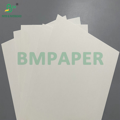 Papel para cuencos de 190 - 350 g/m² con revestimiento de PE, utilizado para cuencos de papel desechables
