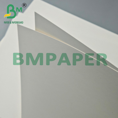 230 gm + 15 g de papel kraft con revestimiento en PE blanqueado