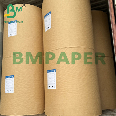 230 gm + 15 g de papel kraft con revestimiento en PE blanqueado