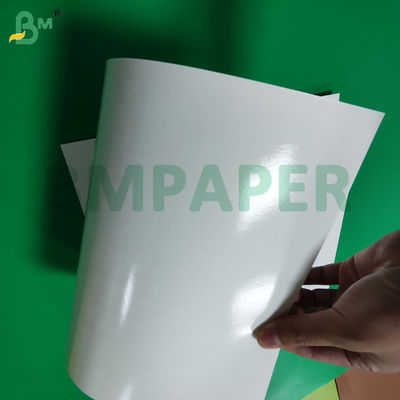 Cartón blanco recubierto de PE de 275 g + 15 g para embalaje de marisco congelado 1000 x 700 mm