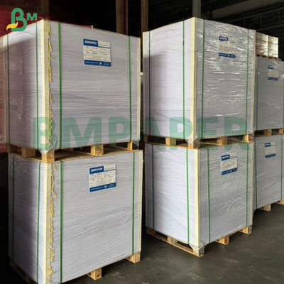 Cartulina Bristol Super Blanca de 300 g/m² Sin estucar Superficies Lisas Sin ácido 19 X 24"