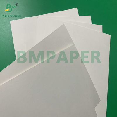 Papel Absorbente de Agua de 0.4 mm y 0.7 mm de Alta Absorción para la Fabricación de Papel para Tapas de Botellas