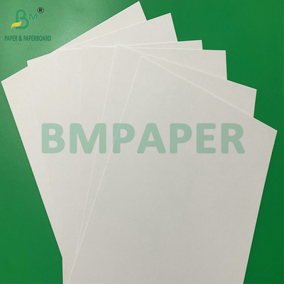 Papel absorbente de agua de 0,4 mm 0,7 mm de color blanco para las monturas de tazas de café