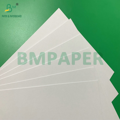 Papel absorbente de agua de 0,4 mm 0,7 mm de color blanco para las monturas de tazas de café