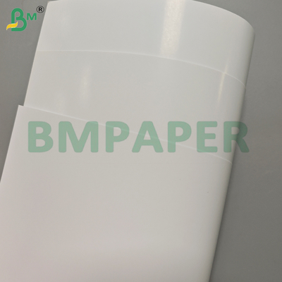 300 gsm Hojas de papel C2S de doble cara recubiertas y brillantes para carteles