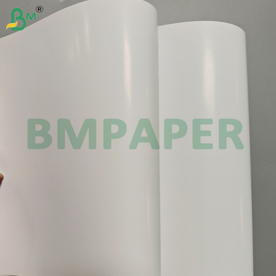 300 gsm Hojas de papel C2S de doble cara recubiertas y brillantes para carteles