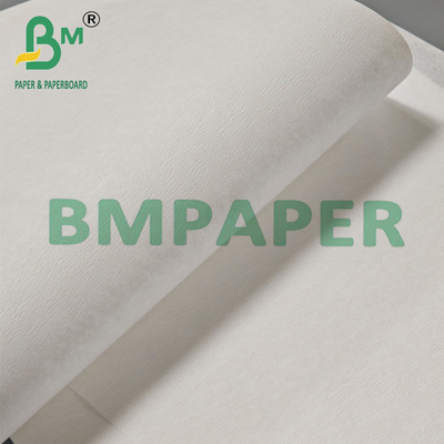 Rollo de papel filtro para café por goteo de alta resistencia y sellado blanco, 23 g/m²