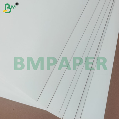 190+10gm PE Revestido de tazas de papel de stock Rollos para tazas de papel tazones