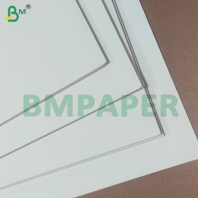 190+10gm PE Revestido de tazas de papel de stock Rollos para tazas de papel tazones